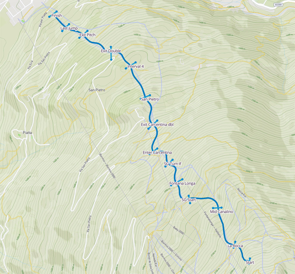 Video analysis vs ski timing systems in alpine ski racing